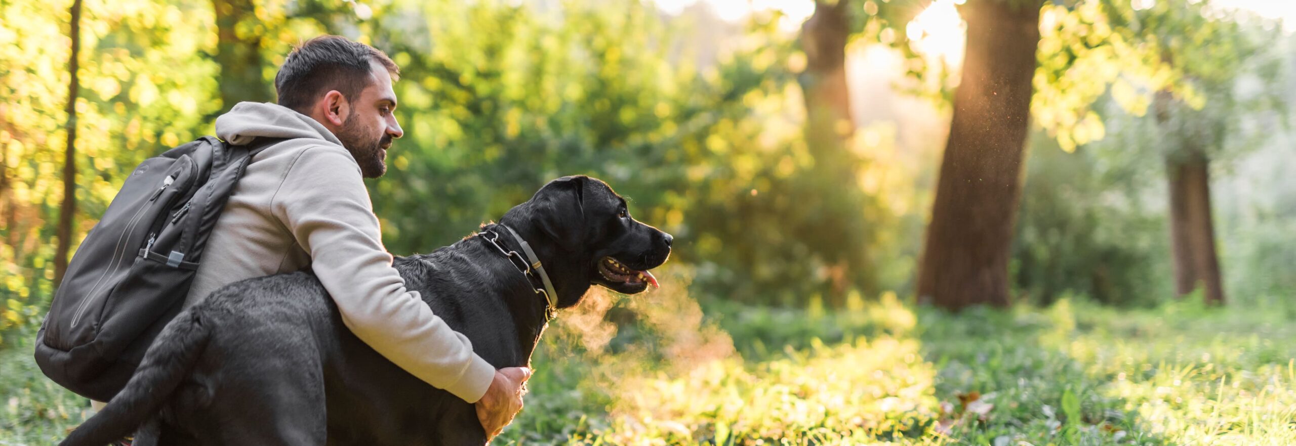 adiestrador-canino-en-madrid-educacion-y-modificacion-de-conducta-a-domicilio-13